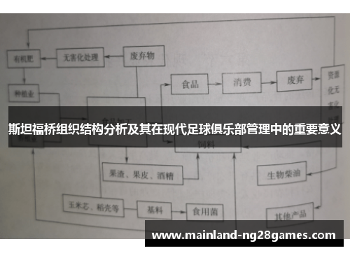 斯坦福桥组织结构分析及其在现代足球俱乐部管理中的重要意义